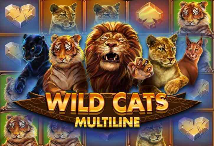 Бесплатный игровой автомат Wild Cats Multiline